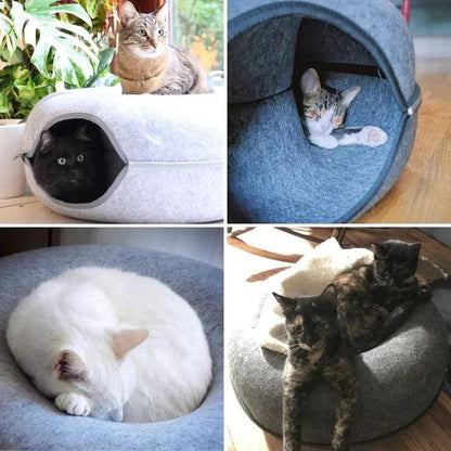 CATTYPRO™ | CAMA TUNEL PARA GATOS + RECETARIO ESPECIAL 🎁 - Tienda Happy